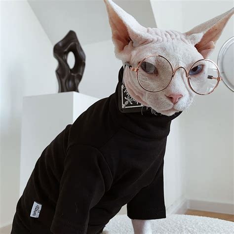 Prada Cat